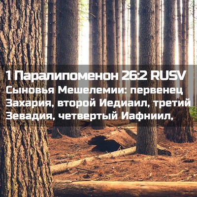 Picture 02 - 1 Паралипоменон 26:2 RUSV - Сыновья Мешелемии: - Bible Verse Picture