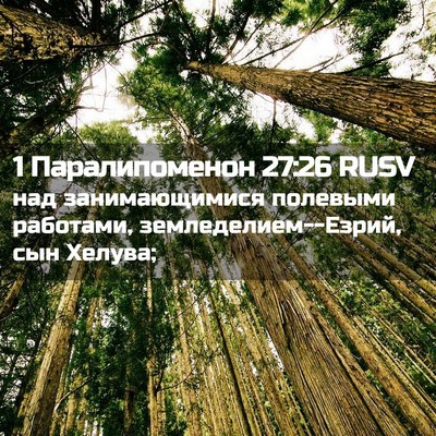Picture 02 - 1 Паралипоменон 27:26 RUSV - над занимающимися - Bible Verse Picture