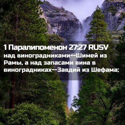 Picture 02 - 1 Паралипоменон 27:27 RUSV - над виноградниками--Шимей - Bible Verse Picture
