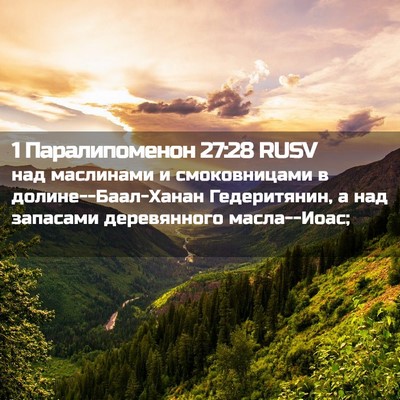 Picture 02 - 1 Паралипоменон 27:28 RUSV - над маслинами и - Bible Verse Picture