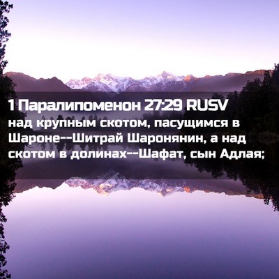 Picture 02 - 1 Паралипоменон 27:29 RUSV - над крупным скотом, - Bible Verse Picture