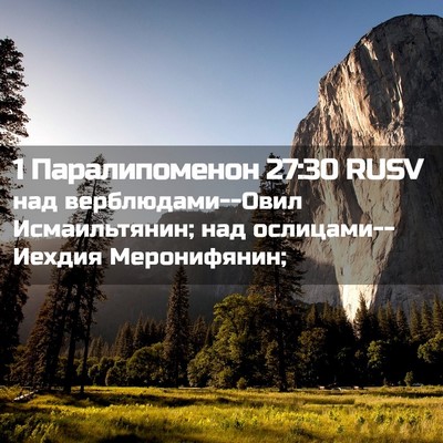 Picture 02 - 1 Паралипоменон 27:30 RUSV - над верблюдами--Овил - Bible Verse Picture