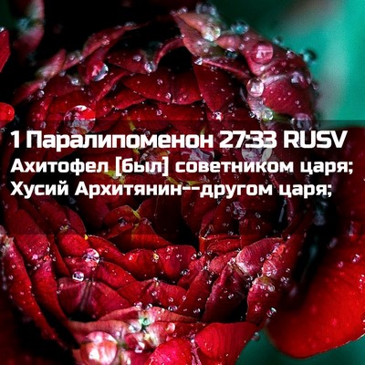 Picture 02 - 1 Паралипоменон 27:33 RUSV - Ахитофел [был] советником - Bible Verse Picture