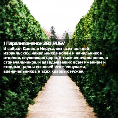 Picture 02 - 1 Паралипоменон 28:1 RUSV - И собрал Давид в Иерусалим - Bible Verse Picture