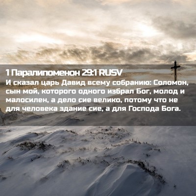 Picture 02 - 1 Паралипоменон 29:1 RUSV - И сказал царь Давид всему - Bible Verse Picture