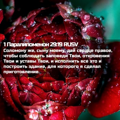 Picture 02 - 1 Паралипоменон 29:19 RUSV - Соломону же, сыну моему, - Bible Verse Picture