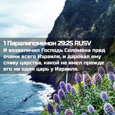 Picture 02 - 1 Паралипоменон 29:25 RUSV - И возвеличил Господь - Bible Verse Picture