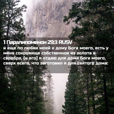 Picture 02 - 1 Паралипоменон 29:3 RUSV - и еще по любви моей к дому - Bible Verse Picture