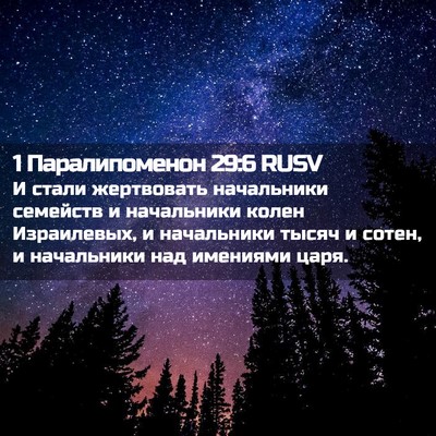 Picture 02 - 1 Паралипоменон 29:6 RUSV - И стали жертвовать - Bible Verse Picture