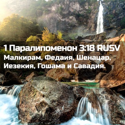 Picture 02 - 1 Паралипоменон 3:18 RUSV - Малкирам, Федаия, Шенацар, - Bible Verse Picture