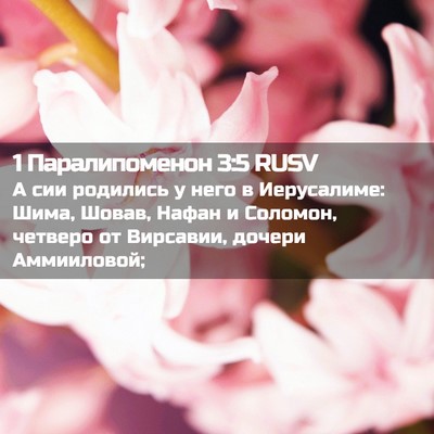 Picture 02 - 1 Паралипоменон 3:5 RUSV - А сии родились у него в - Bible Verse Picture