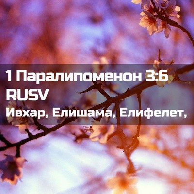 Picture 02 - 1 Паралипоменон 3:6 RUSV - Ивхар, Елишама, - Bible Verse Picture