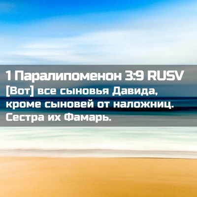 Picture 02 - 1 Паралипоменон 3:9 RUSV - [Вот] все сыновья Давида, - Bible Verse Picture