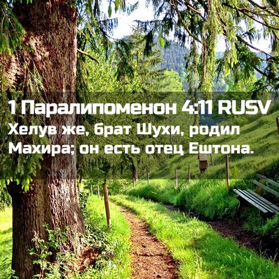Picture 02 - 1 Паралипоменон 4:11 RUSV - Хелув же, брат Шухи, родил - Bible Verse Picture