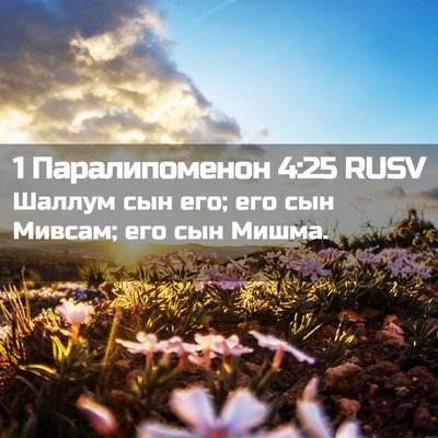 Picture 02 - 1 Паралипоменон 4:25 RUSV - Шаллум сын его; его сын - Bible Verse Picture