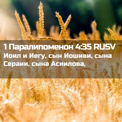 Picture 02 - 1 Паралипоменон 4:35 RUSV - Иоил и Иегу, сын Иошиви, - Bible Verse Picture
