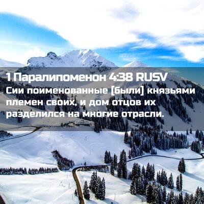 Picture 02 - 1 Паралипоменон 4:38 RUSV - Сии поименованные [были] - Bible Verse Picture
