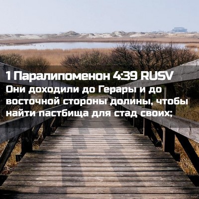 Picture 02 - 1 Паралипоменон 4:39 RUSV - Они доходили до Герары и до - Bible Verse Picture