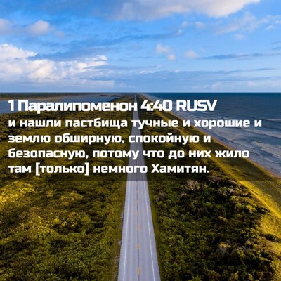 Picture 02 - 1 Паралипоменон 4:40 RUSV - и нашли пастбища тучные и - Bible Verse Picture