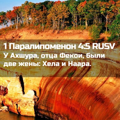 Picture 02 - 1 Паралипоменон 4:5 RUSV - У Ахшура, отца Фекои, были - Bible Verse Picture