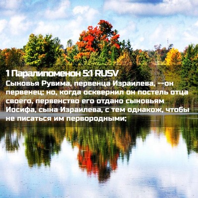 Picture 02 - 1 Паралипоменон 5:1 RUSV - Сыновья Рувима, первенца - Bible Verse Picture
