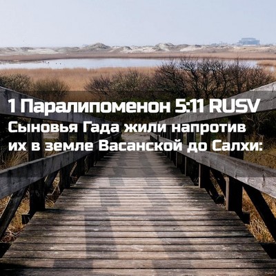 Picture 02 - 1 Паралипоменон 5:11 RUSV - Сыновья Гада жили напротив - Bible Verse Picture