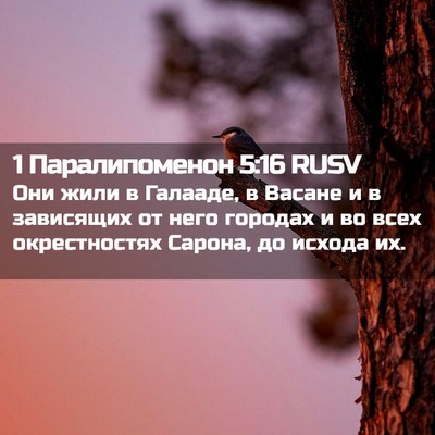 Picture 02 - 1 Паралипоменон 5:16 RUSV - Они жили в Галааде, в - Bible Verse Picture