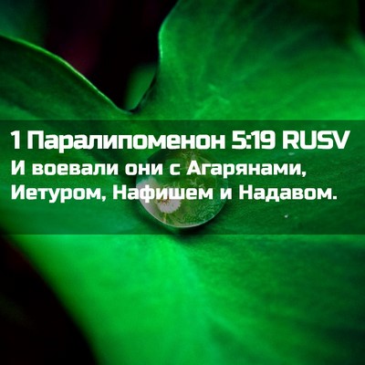 Picture 02 - 1 Паралипоменон 5:19 RUSV - И воевали они с Агарянами, - Bible Verse Picture