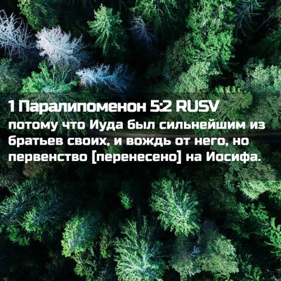 Picture 02 - 1 Паралипоменон 5:2 RUSV - потому что Иуда был - Bible Verse Picture