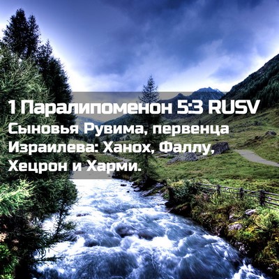 Picture 02 - 1 Паралипоменон 5:3 RUSV - Сыновья Рувима, первенца - Bible Verse Picture