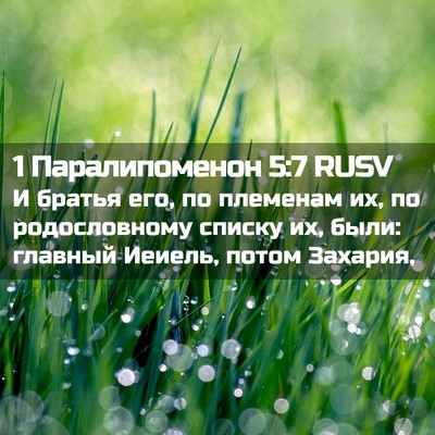 Picture 02 - 1 Паралипоменон 5:7 RUSV - И братья его, по племенам - Bible Verse Picture