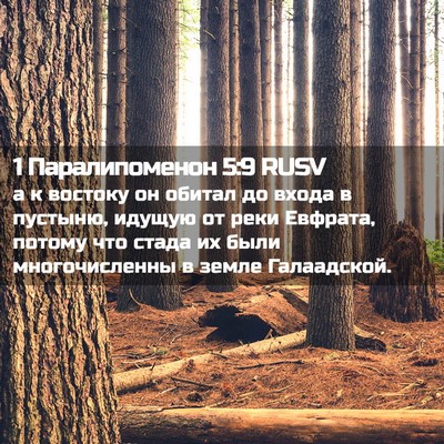 Picture 02 - 1 Паралипоменон 5:9 RUSV - а к востоку он обитал до - Bible Verse Picture