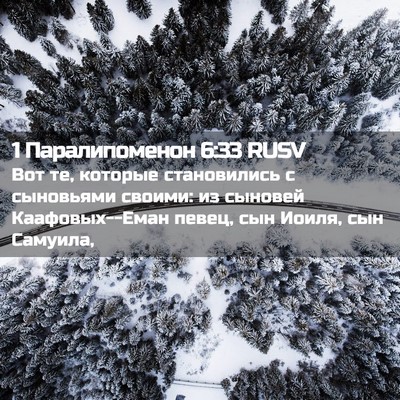 Picture 02 - 1 Паралипоменон 6:33 RUSV - Вот те, которые - Bible Verse Picture