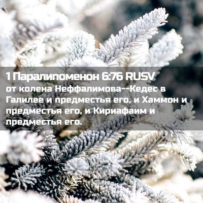 Picture 02 - 1 Паралипоменон 6:76 RUSV - от колена - Bible Verse Picture