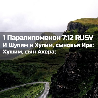 Picture 02 - 1 Паралипоменон 7:12 RUSV - И Шупим и Хупим, сыновья - Bible Verse Picture