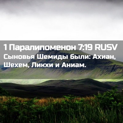 Picture 02 - 1 Паралипоменон 7:19 RUSV - Сыновья Шемиды были: Ахиан, - Bible Verse Picture