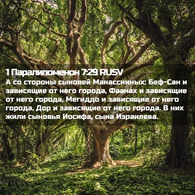 Picture 02 - 1 Паралипоменон 7:29 RUSV - А со стороны сыновей - Bible Verse Picture