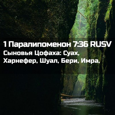 Picture 02 - 1 Паралипоменон 7:36 RUSV - Сыновья Цофаха: Суах, - Bible Verse Picture