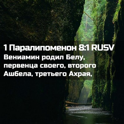 Picture 02 - 1 Паралипоменон 8:1 RUSV - Вениамин родил Белу, - Bible Verse Picture