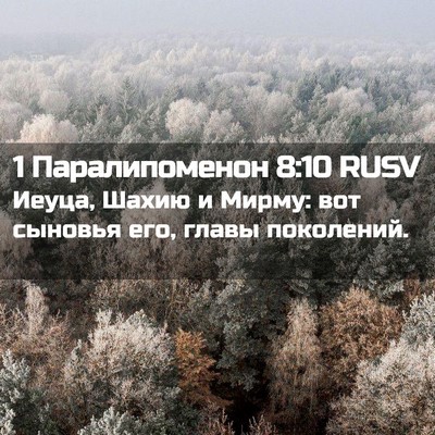 Picture 02 - 1 Паралипоменон 8:10 RUSV - Иеуца, Шахию и Мирму: вот - Bible Verse Picture
