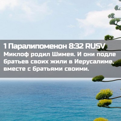 Picture 02 - 1 Паралипоменон 8:32 RUSV - Миклоф родил Шимея. И они - Bible Verse Picture
