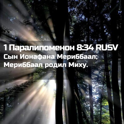 Picture 02 - 1 Паралипоменон 8:34 RUSV - Сын Ионафана Мериббаал; - Bible Verse Picture