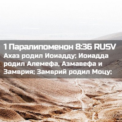 Picture 02 - 1 Паралипоменон 8:36 RUSV - Ахаз родил Иоиадду; - Bible Verse Picture