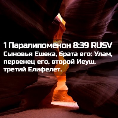 Picture 02 - 1 Паралипоменон 8:39 RUSV - Сыновья Ешека, брата его: - Bible Verse Picture