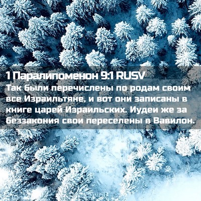 Picture 02 - 1 Паралипоменон 9:1 RUSV - Так были перечислены по - Bible Verse Picture