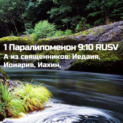 Picture 02 - 1 Паралипоменон 9:10 RUSV - А из священников: Иедаия, - Bible Verse Picture