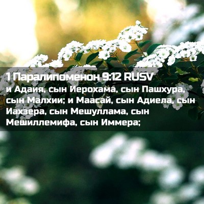 Picture 02 - 1 Паралипоменон 9:12 RUSV - и Адаия, сын Иерохама, сын - Bible Verse Picture