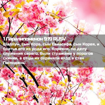Picture 02 - 1 Паралипоменон 9:19 RUSV - Шаллум, сын Коре, сын - Bible Verse Picture