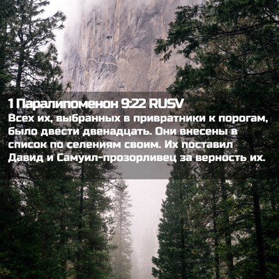 Picture 02 - 1 Паралипоменон 9:22 RUSV - Всех их, выбранных в - Bible Verse Picture