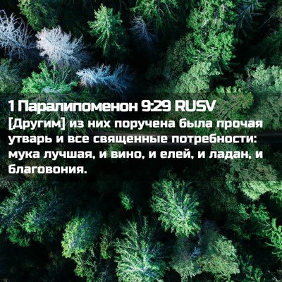 Picture 02 - 1 Паралипоменон 9:29 RUSV - [Другим] из них поручена - Bible Verse Picture